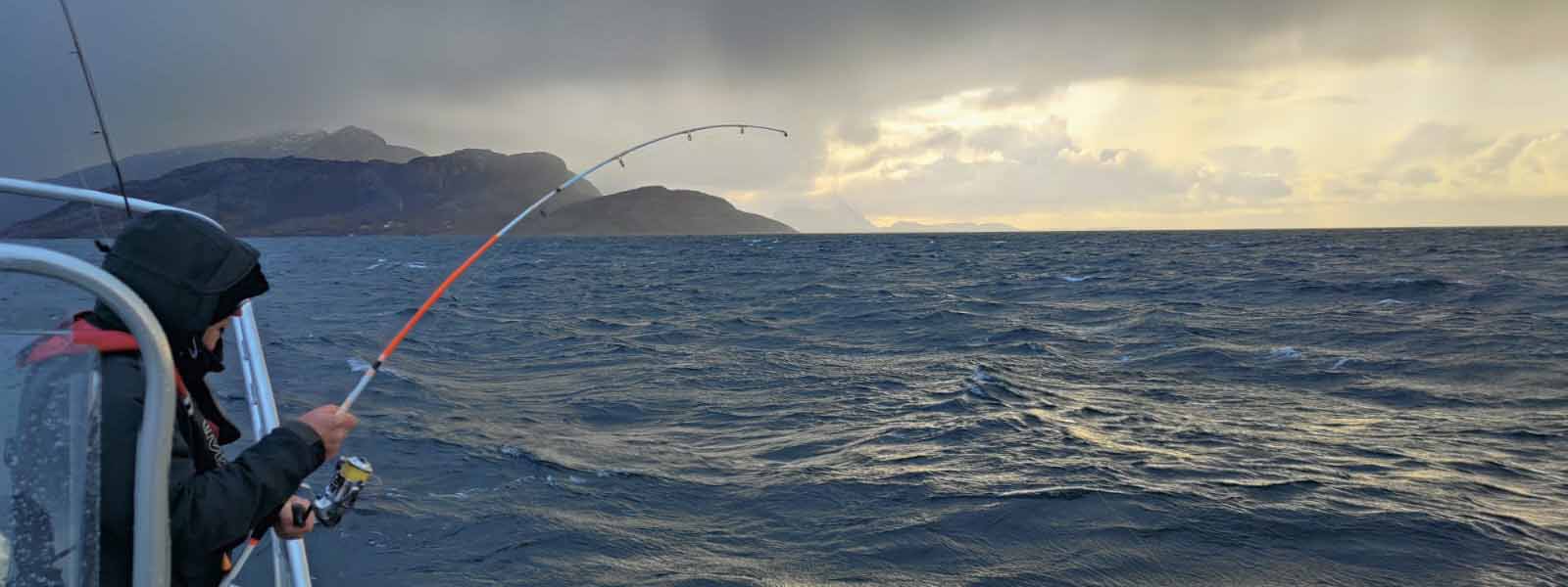 Natuur Saltstraumen noorwegen